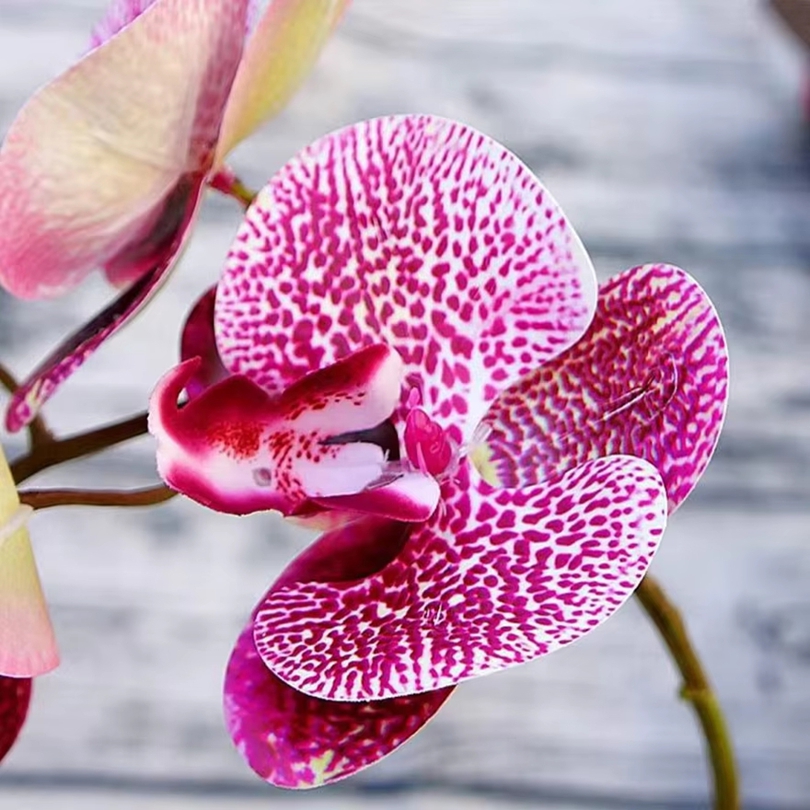 Fiori artificiali 3D Farfalla  - Flower Girl Basket recensione e prezzo
