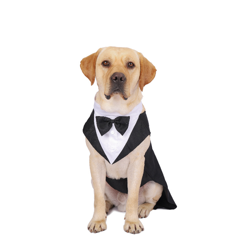 Vestiti per cani da compagnia  - Suit Supply Wedding Party recensione e prezzo