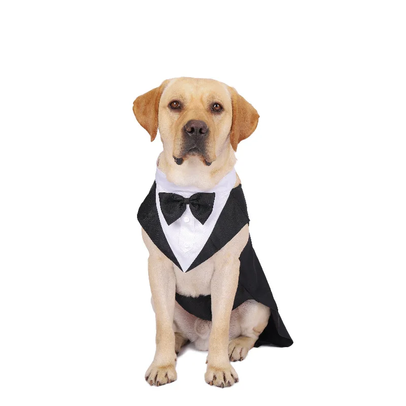 Vestiti per cani da compagnia  - Suit Supply Wedding Party recensione e prezzo